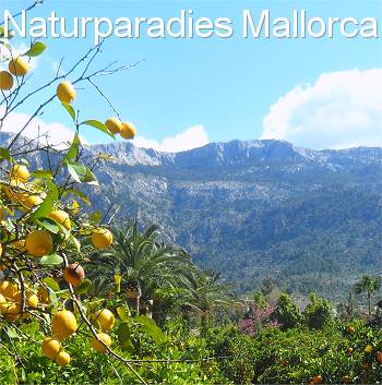 Naturparadiese auf Mallorca
